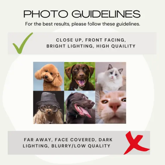 Guidelines for submitting pet photos for custom mugs, with examples of good and poor quality images.