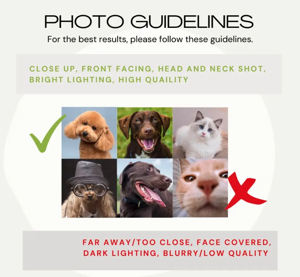 Photo guidelines for custom pet cards to ensure the best quality portraits.