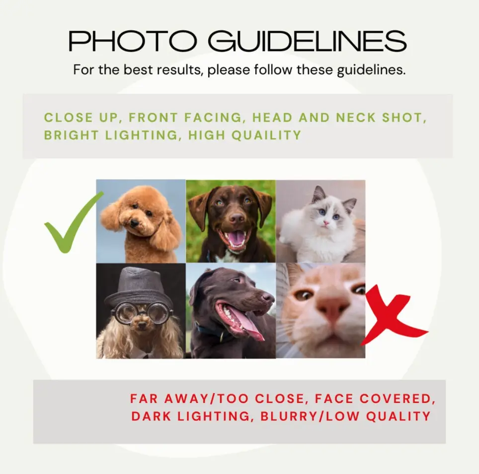 Recommended photo guidelines for custom pet portrait water bottles to ensure quality