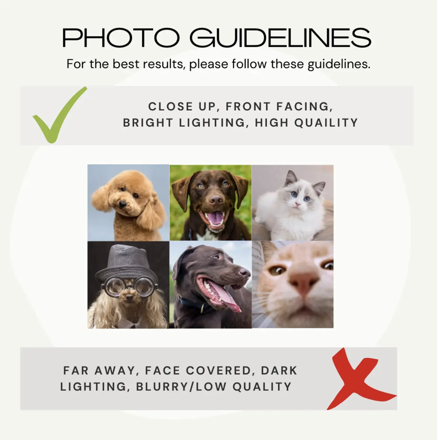 Guidelines for submitting the perfect pet photo for your custom tumbler design