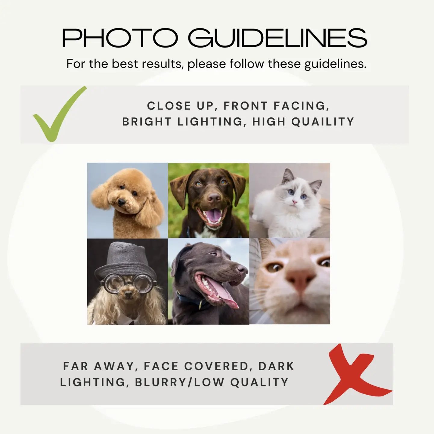 Infographic outlining the best practices for submitting pet photos for custom phone cases, ensuring high-quality results