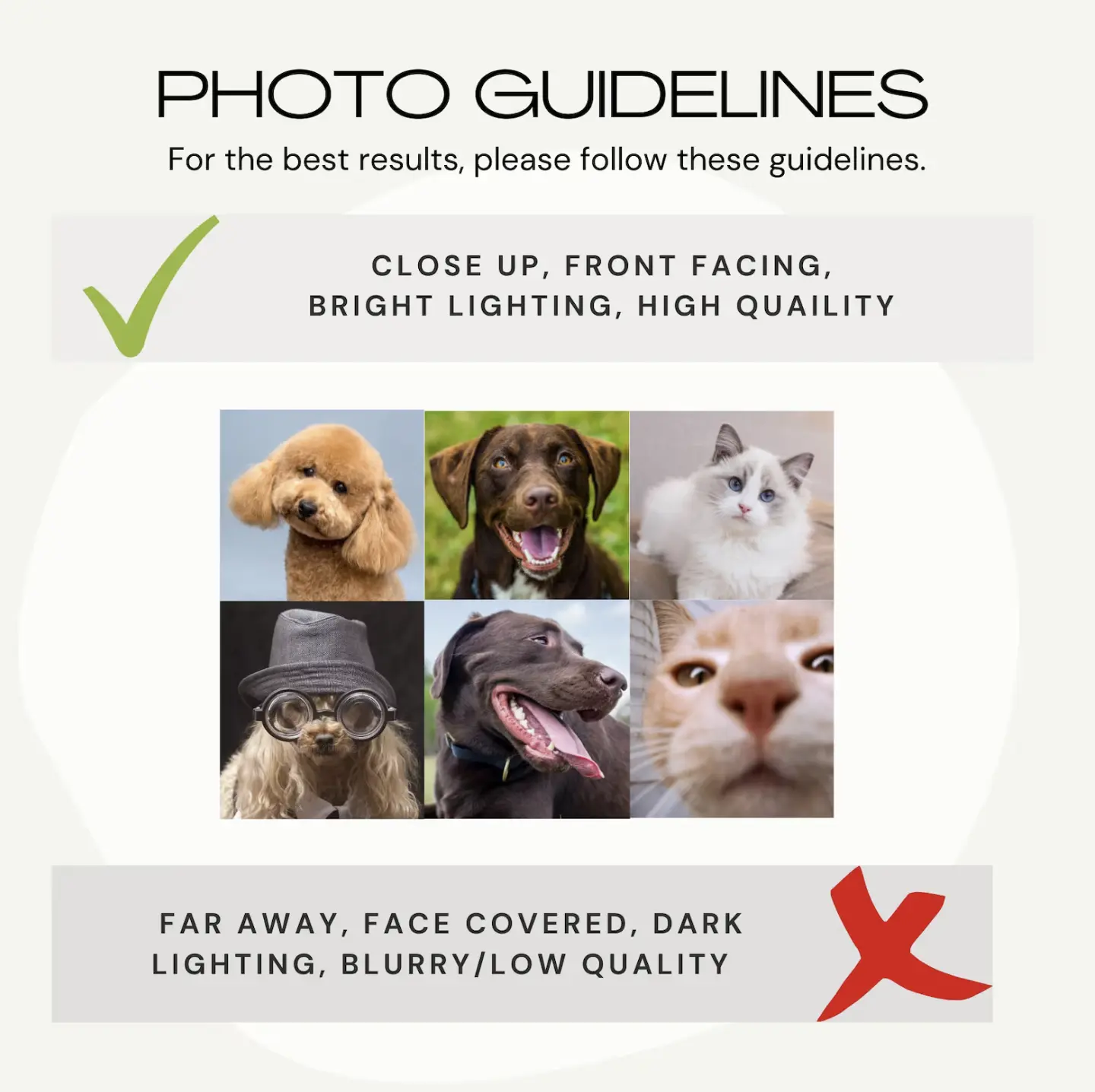 Infographic showing the photo guidelines for creating custom Rottweiler phone cases, emphasizing quality and lighting