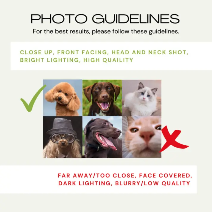 An infographic showing the best photo guidelines for custom pet mugs, emphasizing clear, front-facing pet photos