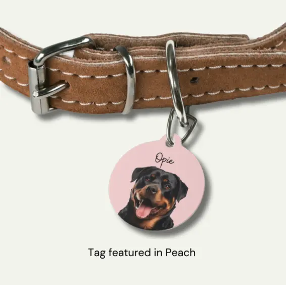 Customized peach-colored pet tag with a Rottweiler's photo named Opie attached to a brown leather collar