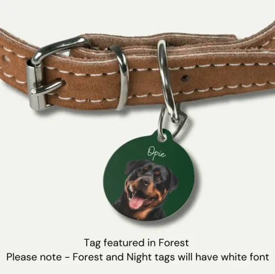 Custom dog tag with a cheerful Rottweiler image and the name 'Opie' on a forest green background, on a leather collar