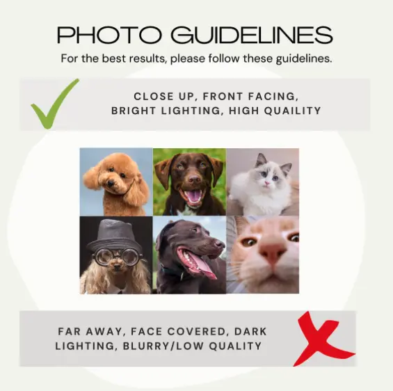 Photo guidelines for pet tags, suggesting close-up, high-quality images for optimal results